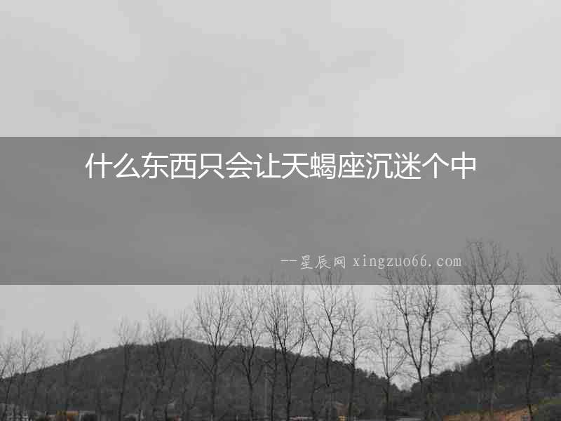 什么東西只會讓天蝎座沉迷個中