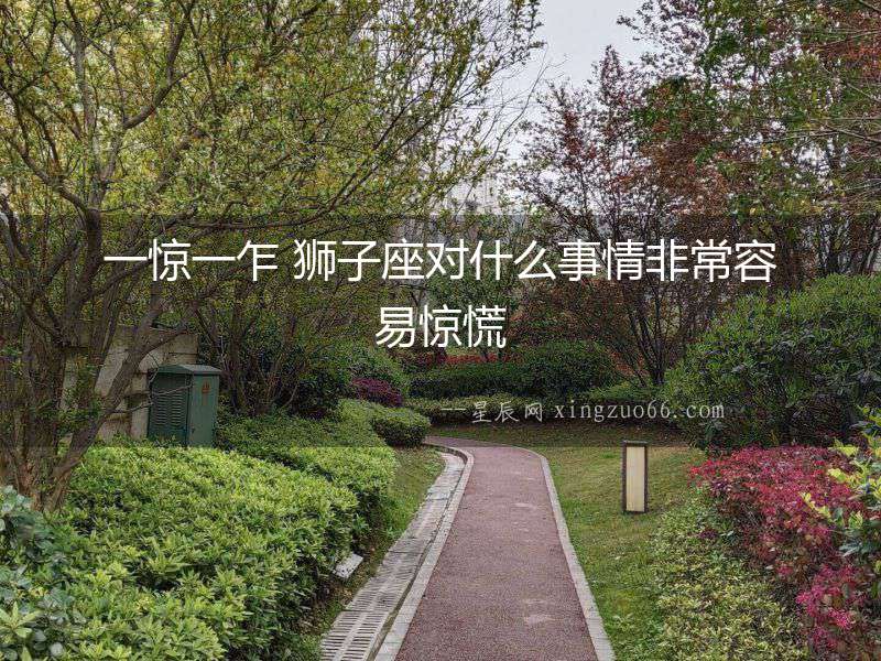一驚一乍 獅子座對什么事情非常容易驚慌