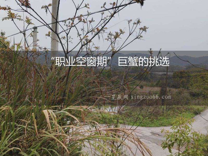 “職業空窗期”巨蟹的挑選
