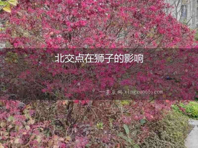 北交點(diǎn)在獅子的影響