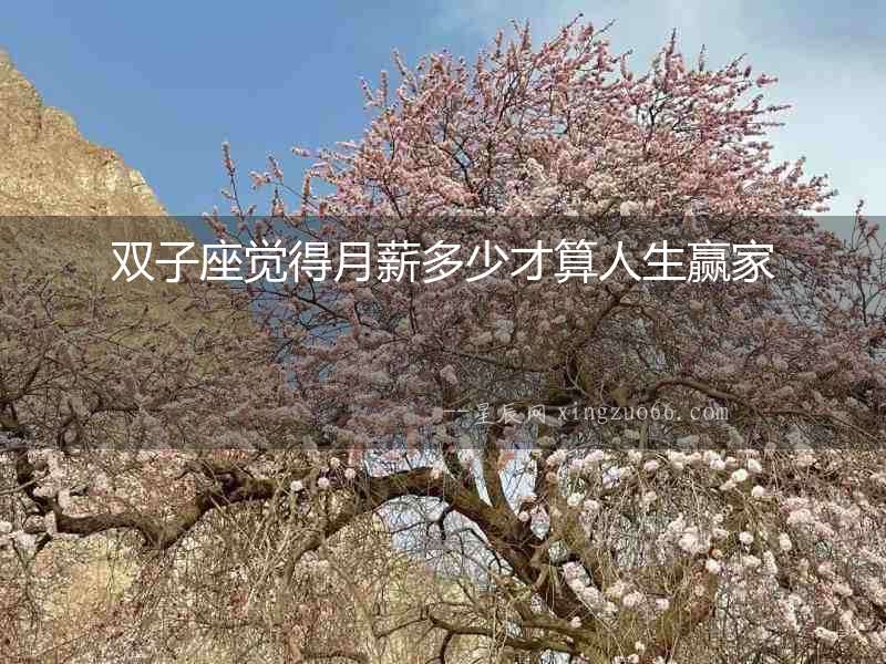 雙子座覺(jué)得月薪多少才算人生贏家
