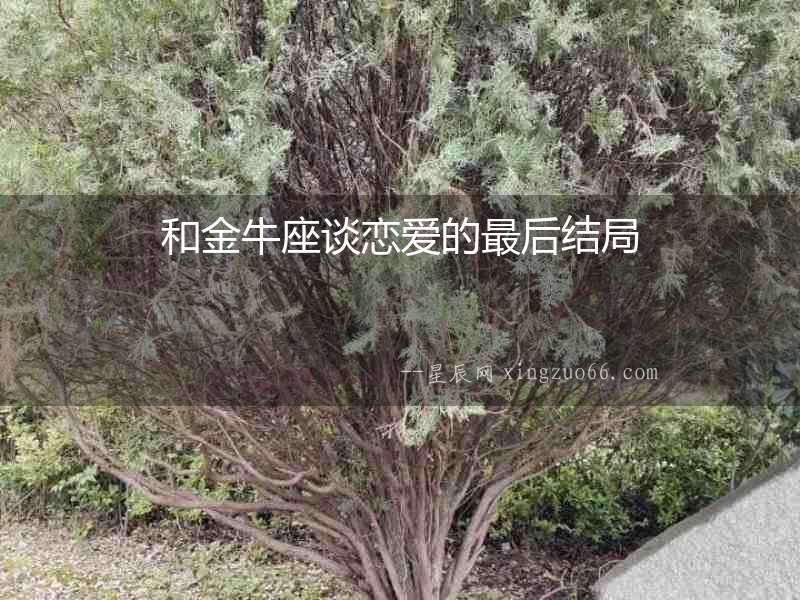 和金牛座談戀愛(ài)的最后結(jié)局