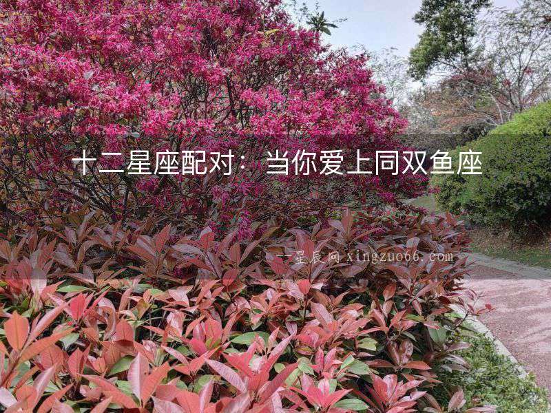 十二星座配對(duì)：當(dāng)你愛(ài)上同雙魚座