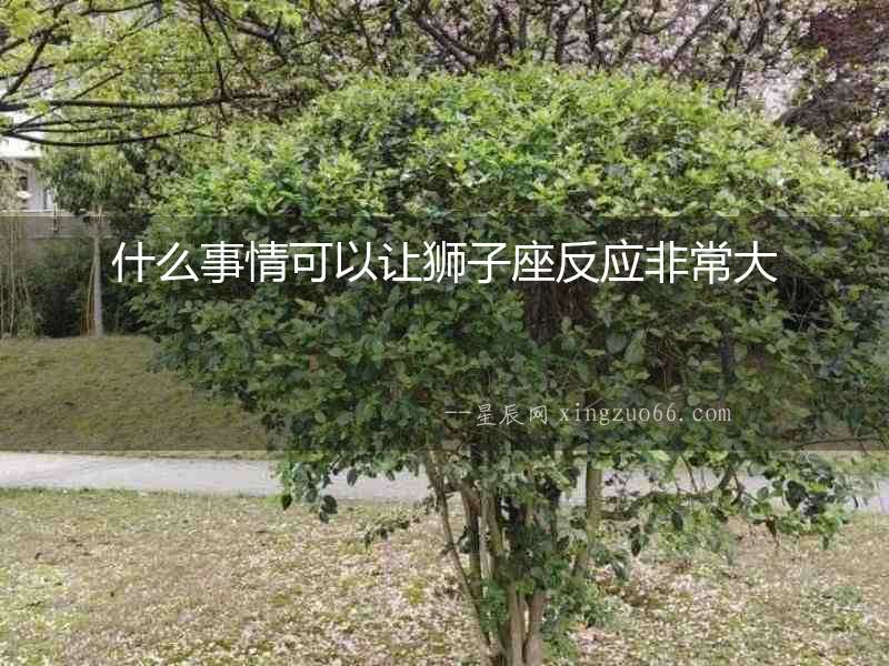什么事情可以讓獅子座反應非常大