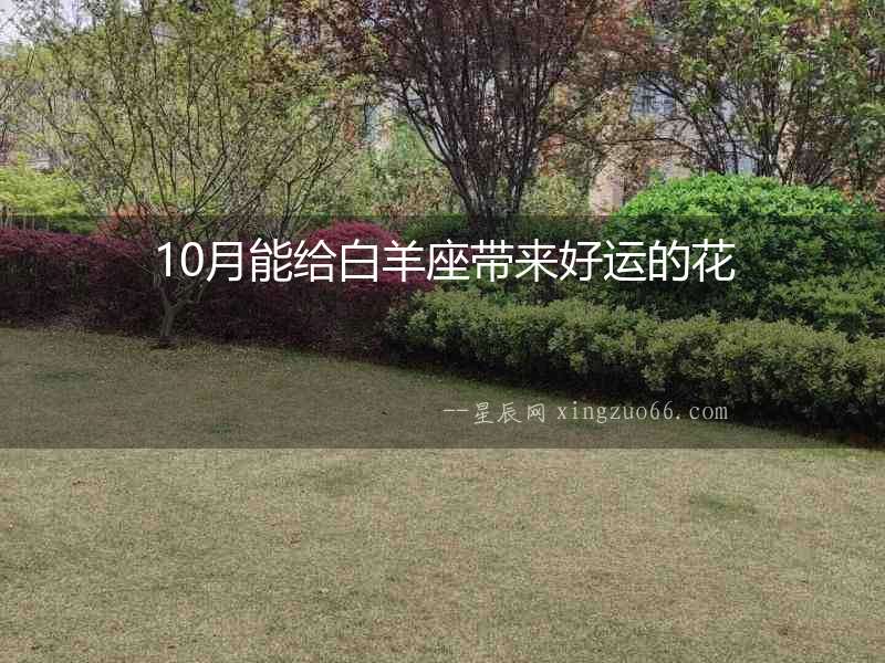 10月能給白羊座帶來好運的花