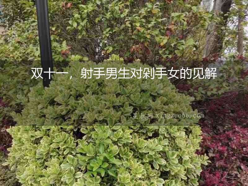 雙十一，射手男生對剁手女的見解