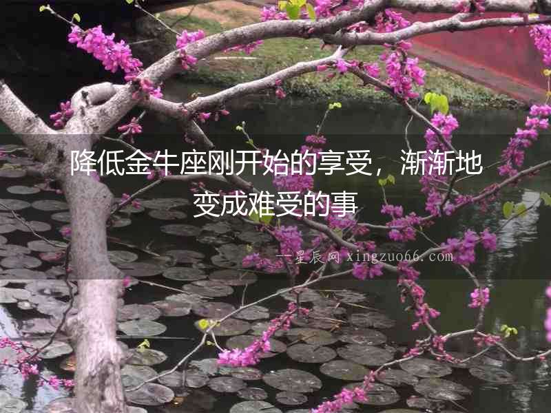 降低金牛座剛開始的享受，漸漸地變成難受的事