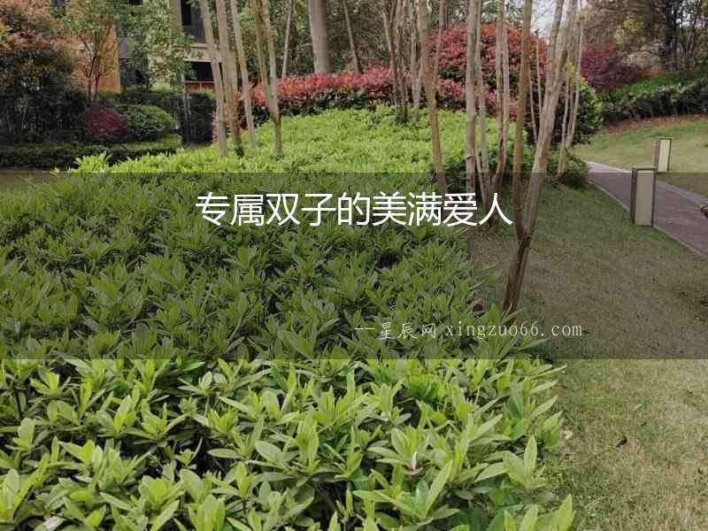 專屬雙子的美滿愛人