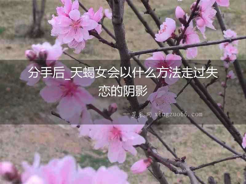分手后_天蝎女會以什么方法走過失戀的陰影