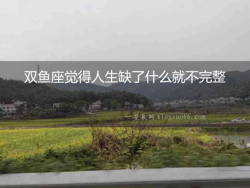 雙魚座覺得人生缺了什么就不完整