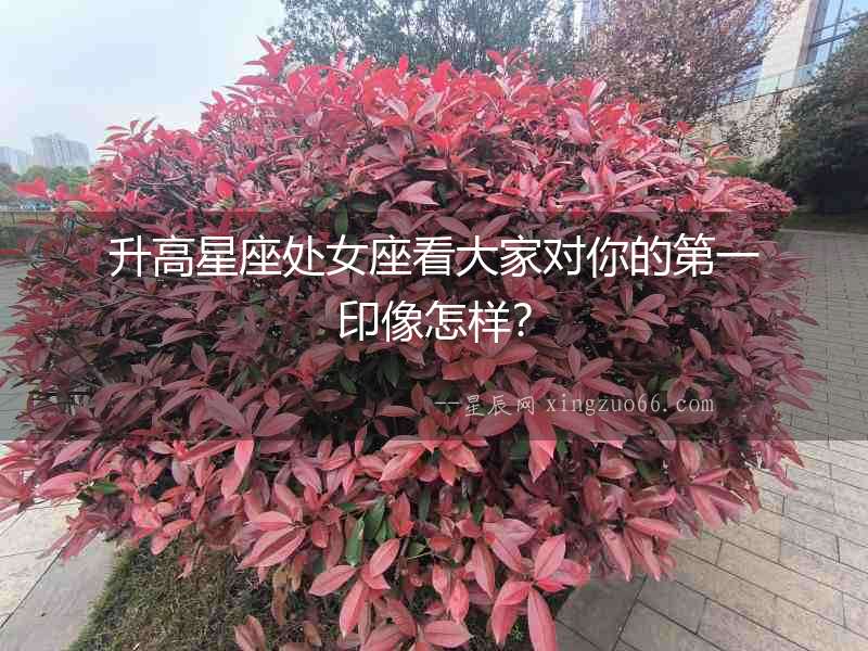 升高星座處女座看大家對你的第一印像怎樣？