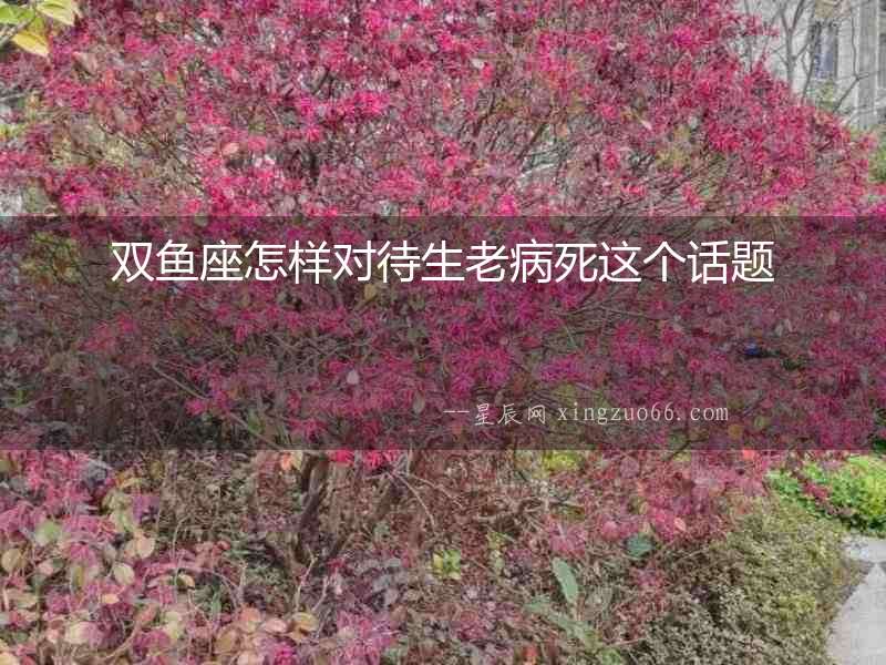 雙魚座怎樣對待生老病死這個話題