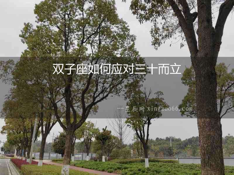 雙子座如何應對三十而立