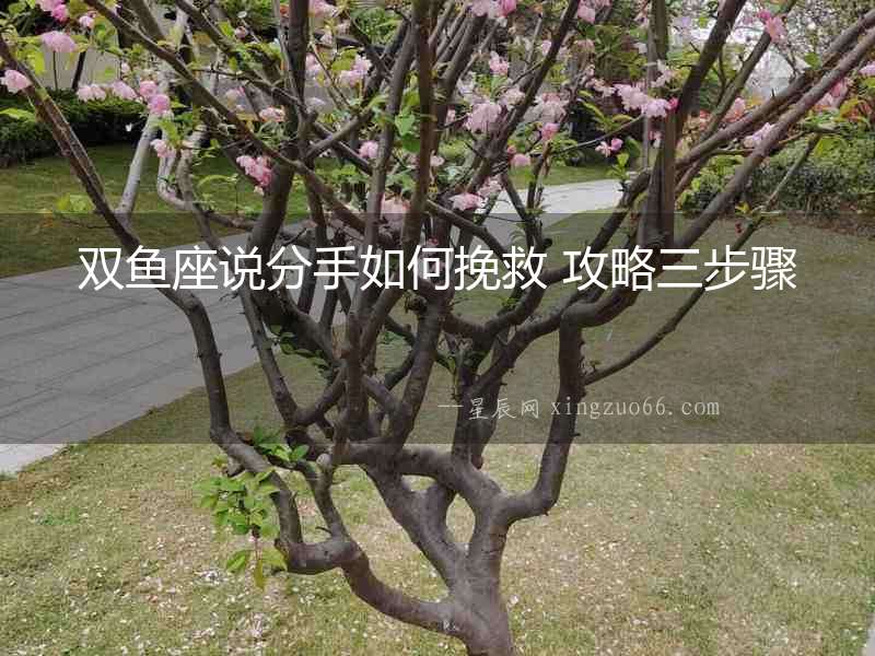 雙魚座說分手如何挽救 攻略三步驟