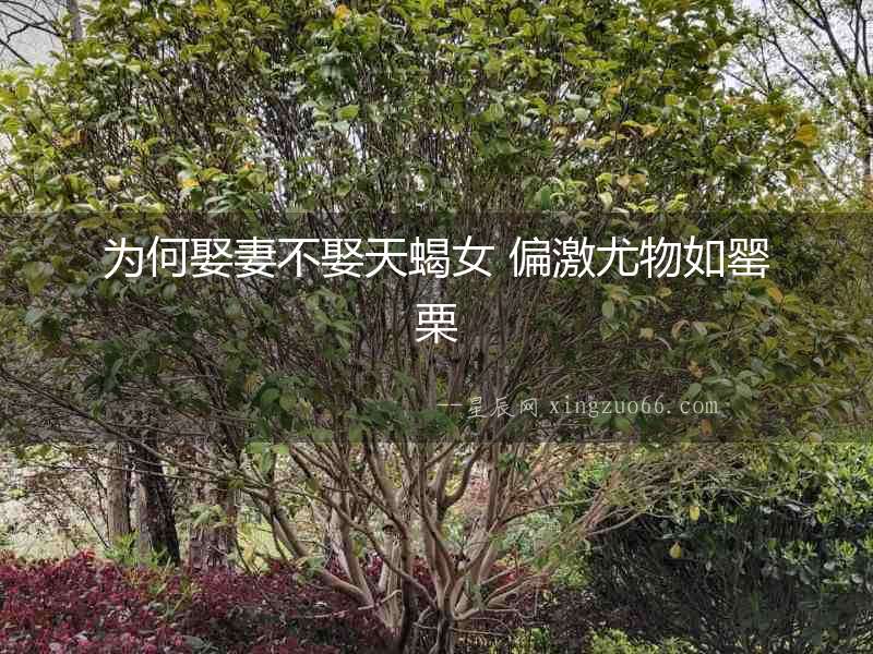 為何娶妻不娶天蝎女 偏激尤物如罌栗