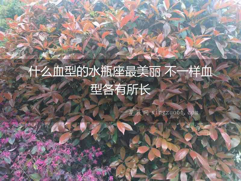 什么血型的水瓶座最美麗 不一樣血型各有所長