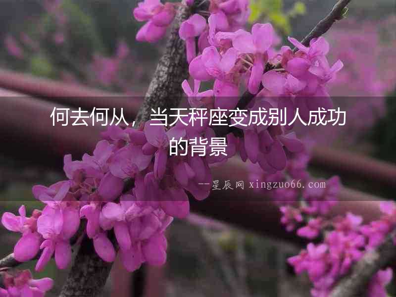 何去何從，當天秤座變成別人成功的背景