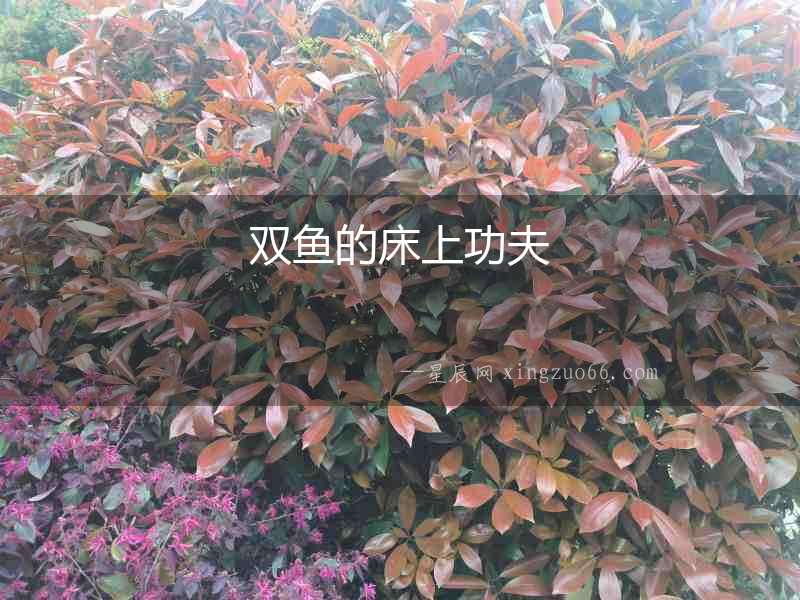 雙魚(yú)的床上功夫