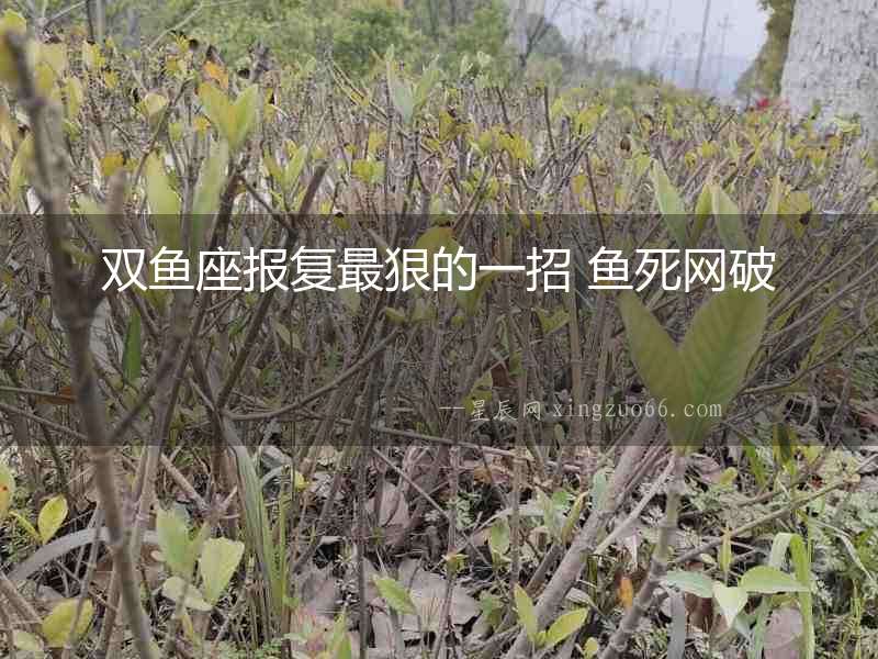 雙魚座報復最狠的一招 魚死網破