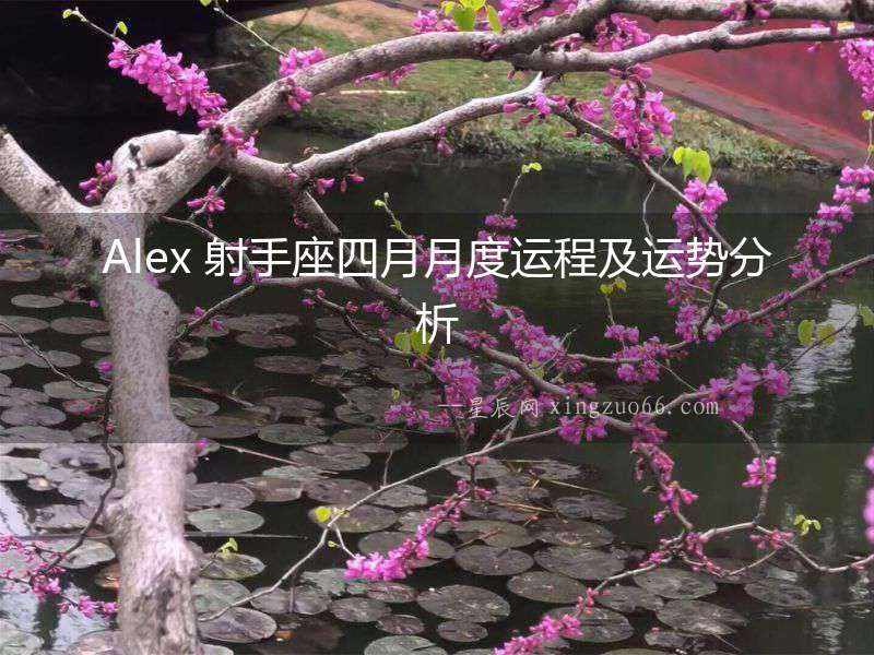 Alex 射手座四月月度運程及運勢分析