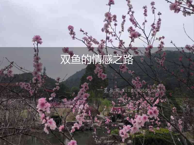 雙魚的情感之路