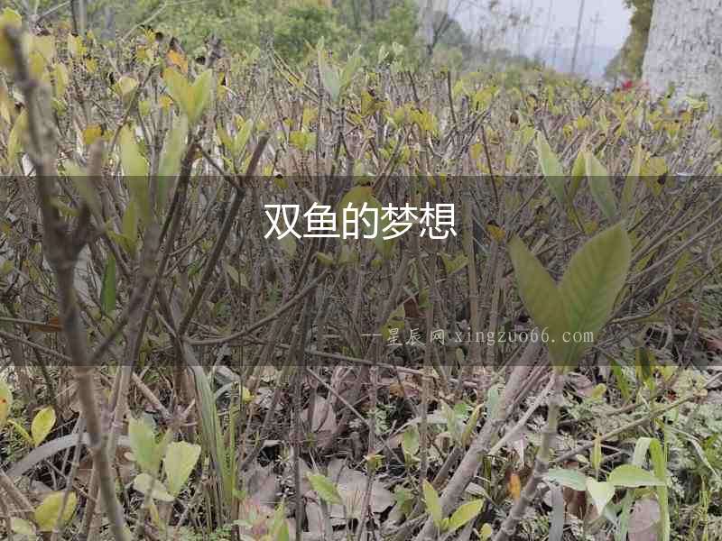 雙魚的夢(mèng)想