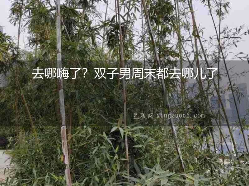 去哪嗨了？雙子男周末都去哪兒了