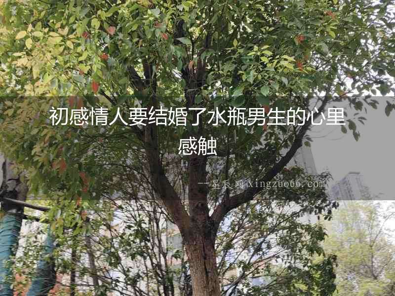 初感情人要結(jié)婚了水瓶男生的心里感觸