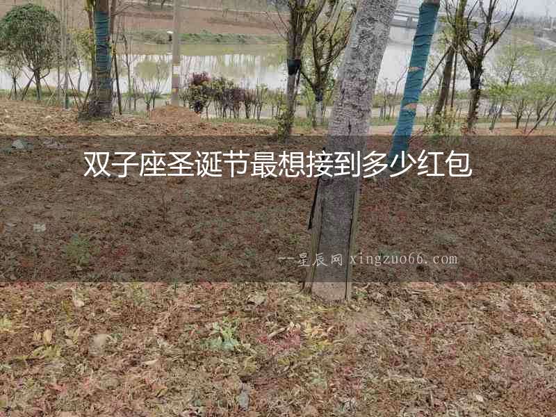 雙子座圣誕節(jié)最想接到多少紅包