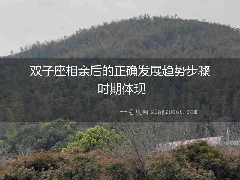 雙子座相親后的正確發展趨勢步驟 時期體現