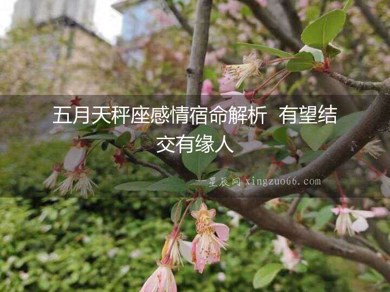 五月天秤座感情宿命解析  有望結交有緣人