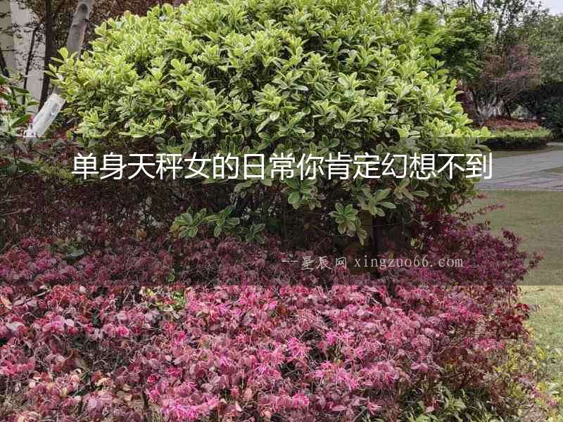 單身天秤女的日常你肯定幻想不到