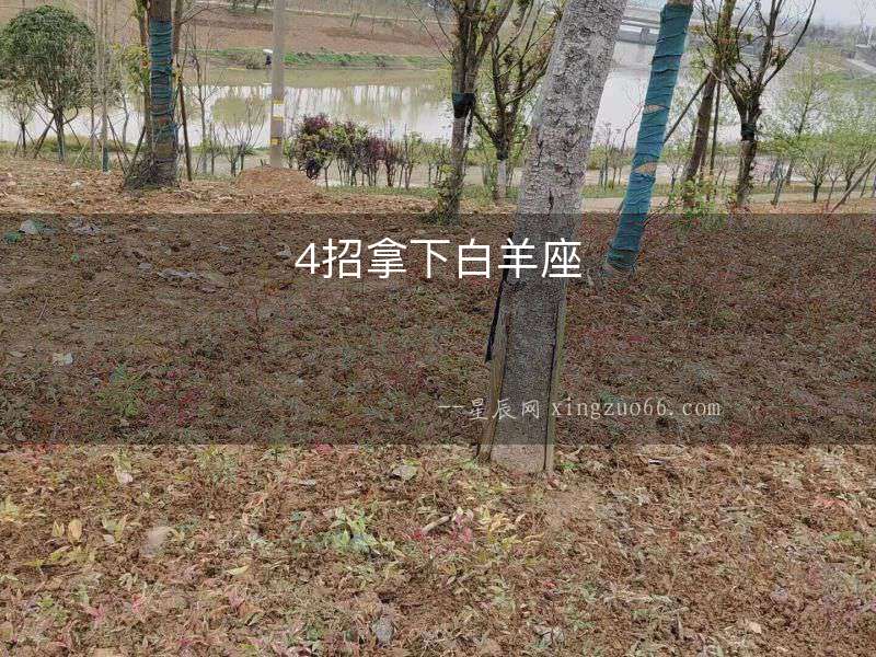 4招拿下白羊座