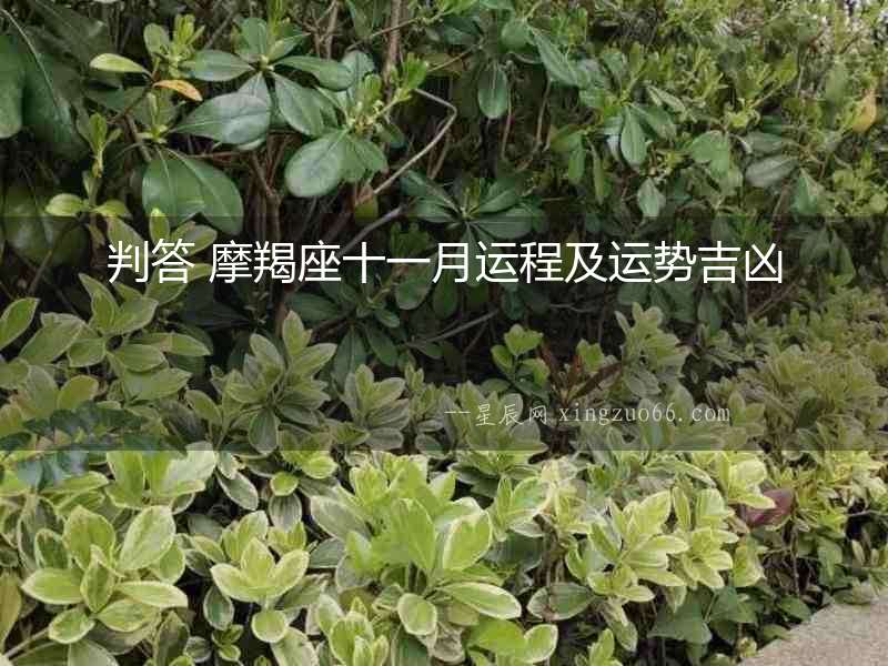 判答 摩羯座十一月運(yùn)程及運(yùn)勢吉兇
