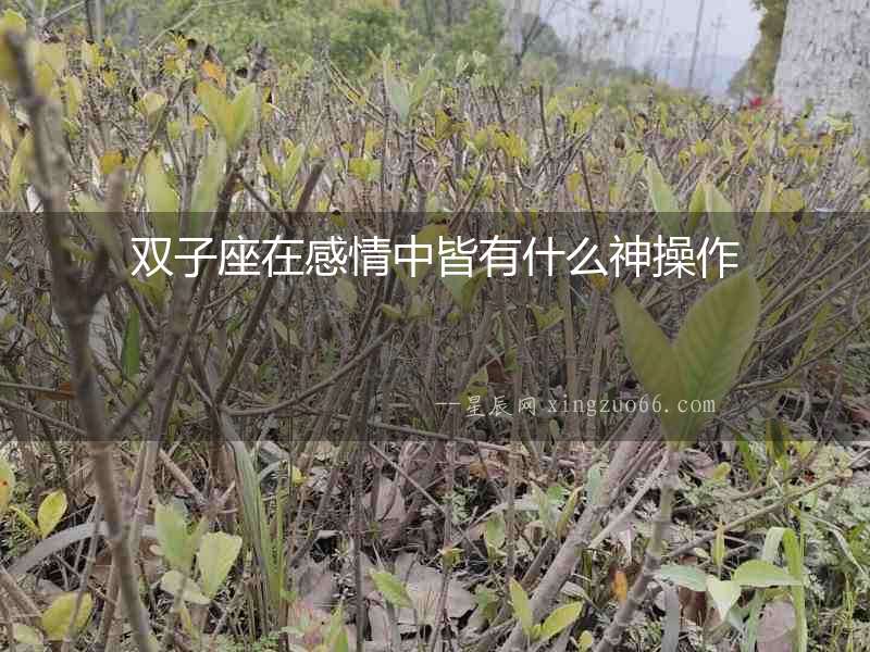 雙子座在感情中皆有什么神操作