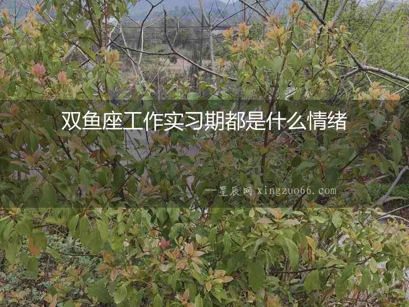 雙魚座工作實習期都是什么情緒
