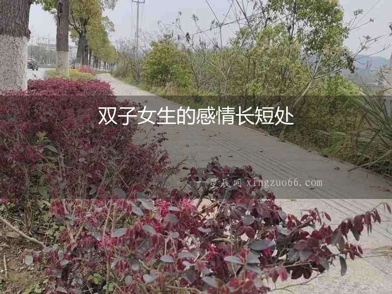 雙子女生的感情長短處