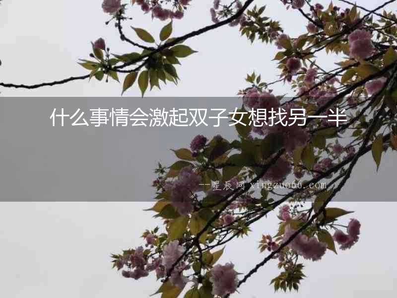 什么事情會激起雙子女想找另一半