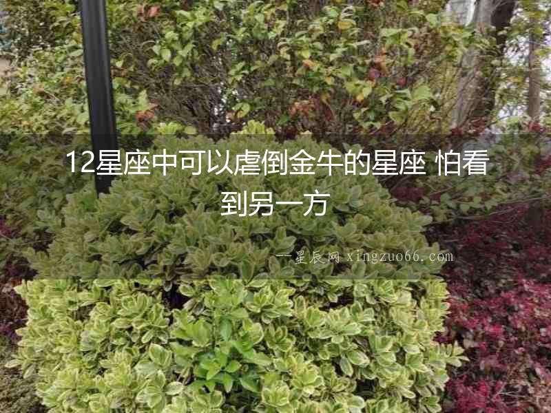 12星座中可以虐倒金牛的星座 怕看到另一方