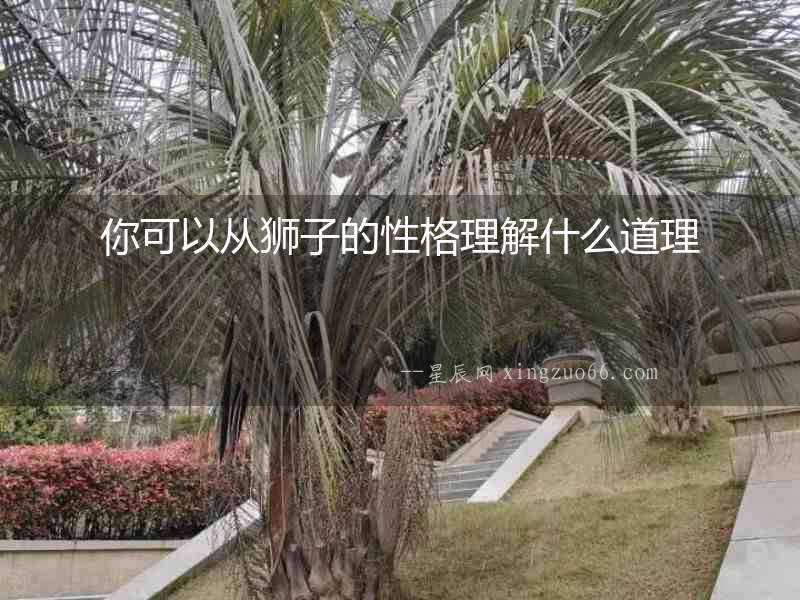 你可以從獅子的性格理解什么道理