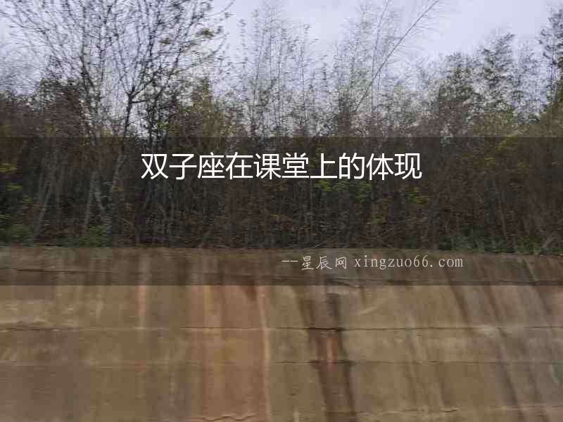 雙子座在課堂上的體現