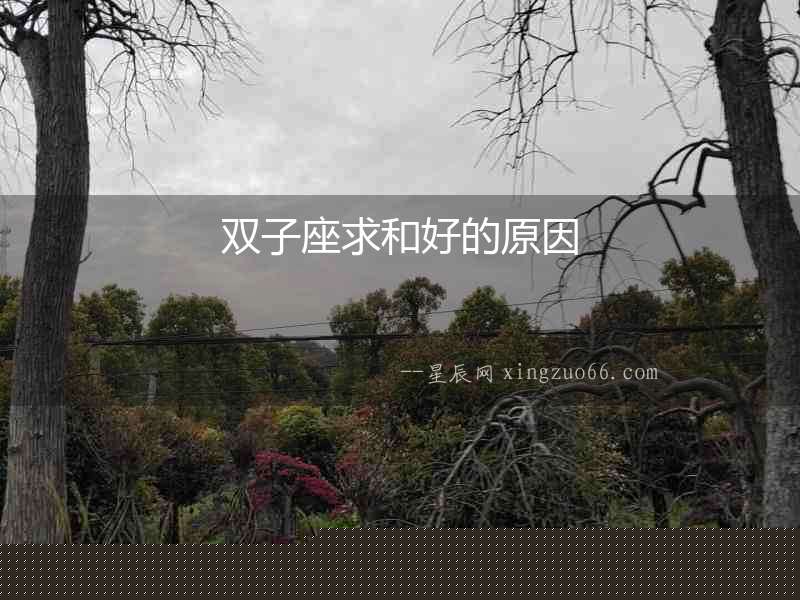 雙子座求和好的原因