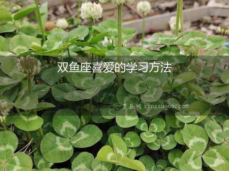 雙魚(yú)座喜愛(ài)的學(xué)習(xí)方法