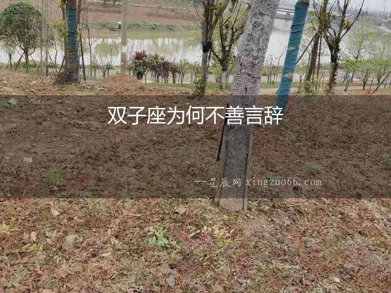 雙子座為何不善言辭