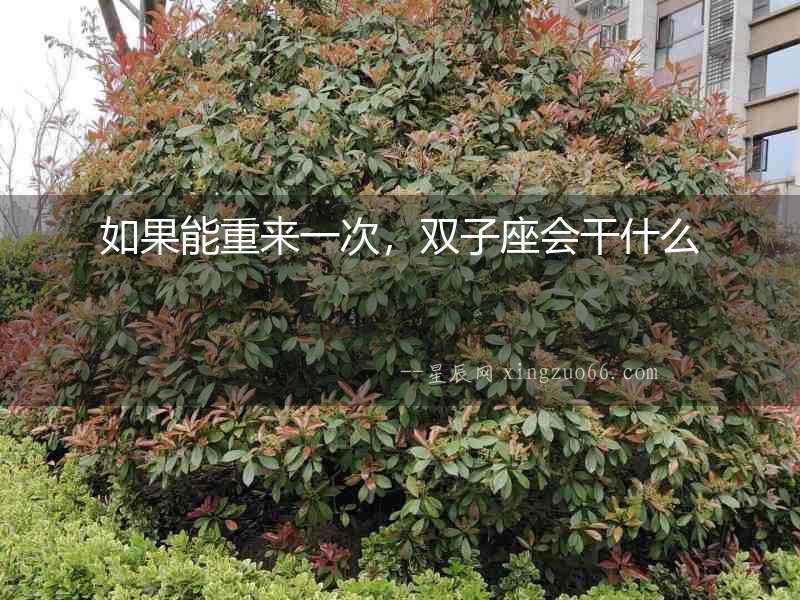 如果能重來一次，雙子座會干什么