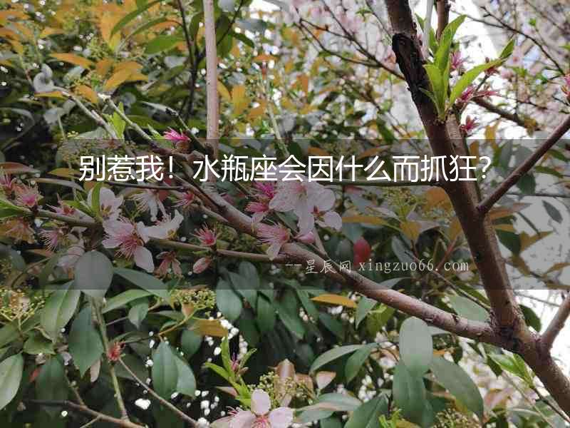 別惹我！水瓶座會因什么而抓狂？