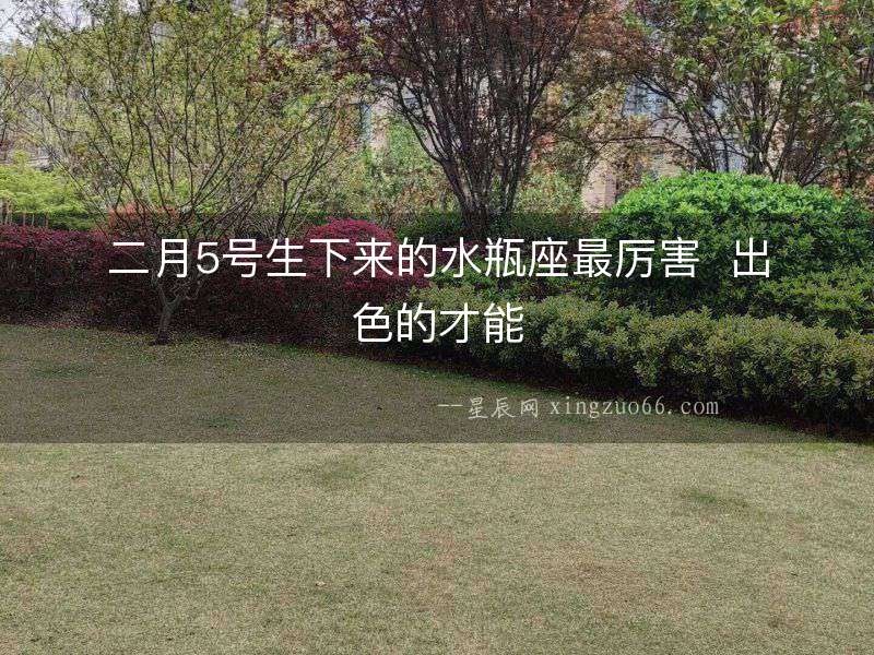 二月5號生下來的水瓶座最厲害  出色的才能