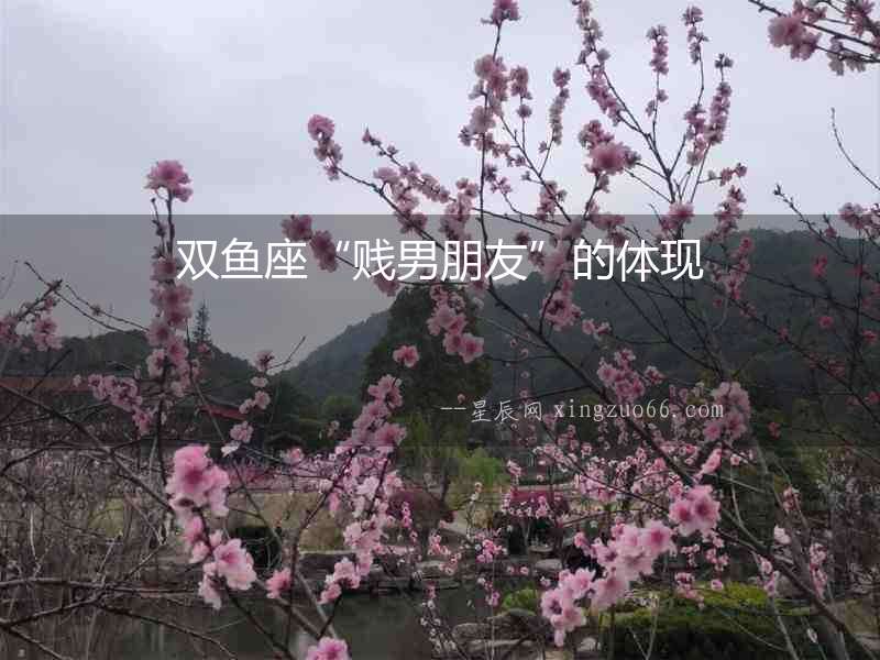 雙魚座“賤男朋友”的體現