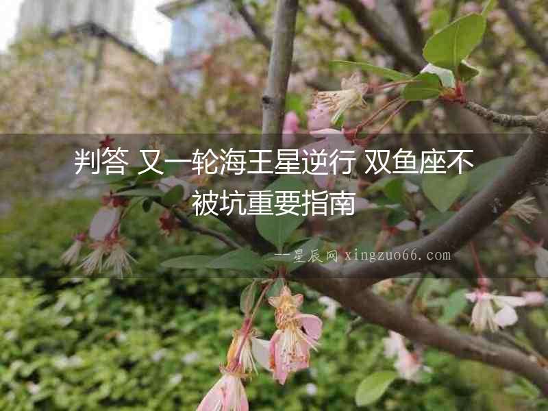 判答 又一輪海王星逆行 雙魚座不被坑重要指南