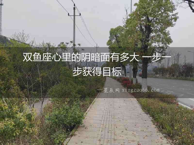 雙魚座心里的陰暗面有多大 一步一步獲得目標